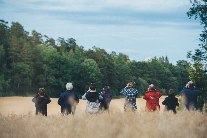 Evening Wildlife Safari Stockholm - Quick hits before you go