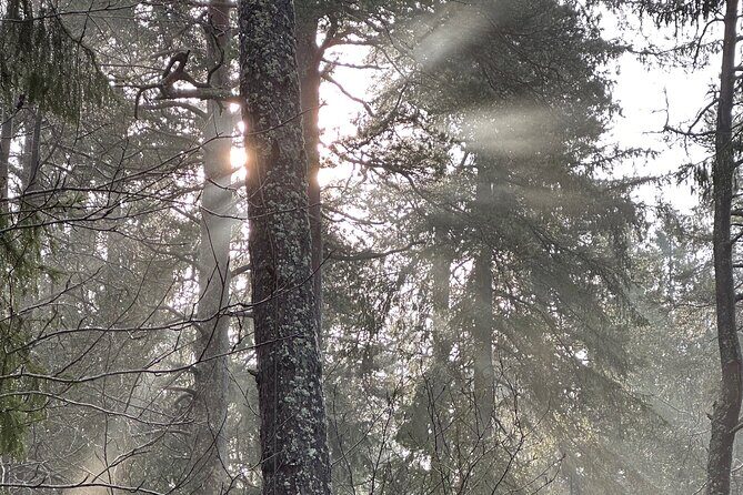 Icebathing and Sauna, Forest Hike and Fireplace Lunch - Private - Fireplace-lunch payoff: organic local food in a log cabin