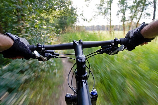 Mountain Biking Small-Group in Stockholm Forests for Beginners - The ride flow: how a five-hour beginner MTB outing typically plays out