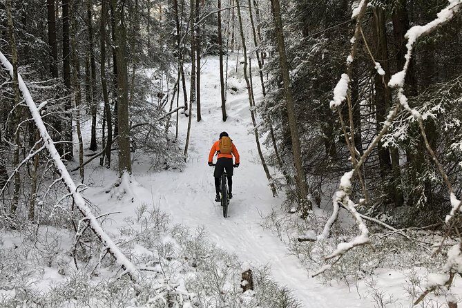 Mountain Biking Small-Group in Stockholm Forests for Beginners - Small-group riding: why group size changes everything on a bike