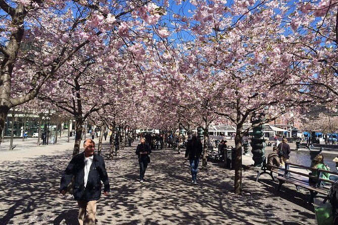 Private 4h VIP city tour by limousine car and guide in Stockholm - Concert Hall, National Theatre, and the cultural sweep by the water