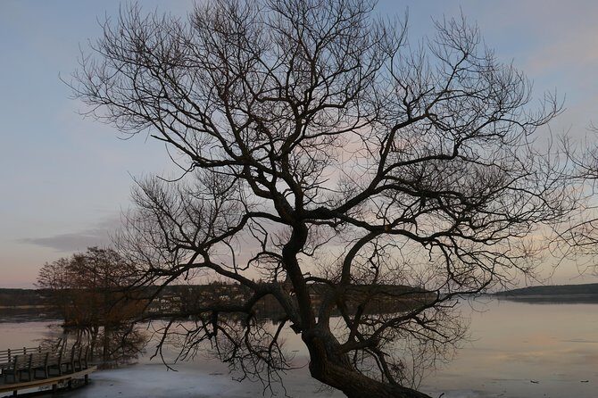 Private Sigtuna Tour from Stockholm - Oldest Town of Sweden - Price and value: what $628.11 gets you