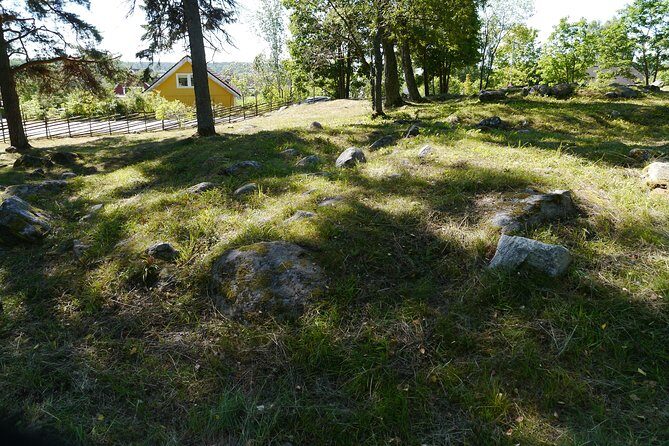 Private Tour: 3h Viking History from Stockholm to Runic Kingdom - Small practical tips for your visit