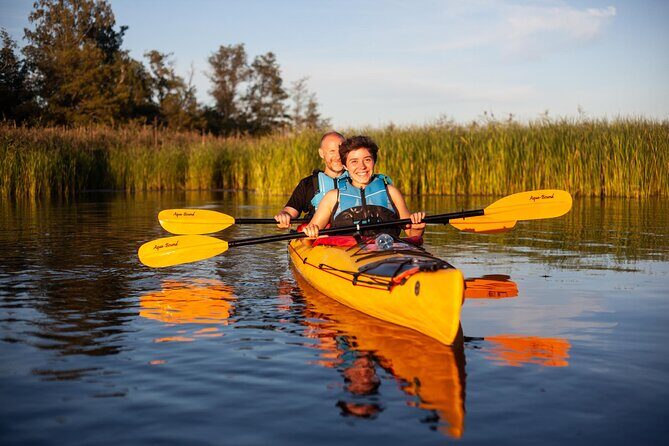 Stockholm Archipelago Sunset Kayaking and Fika tour - Paddling in-between islands: Viking history plus wildlife spotting
