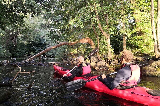 Stockholm Evening Kayak with BBQ - Small Group - Paddling to Långholmen: City Views, Calm Water, and Timing