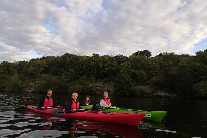 Stockholm Evening Kayak with BBQ - Small Group - BBQ on the Beach Near Hornstull: Food, Swims, and Fire-Ban Reality