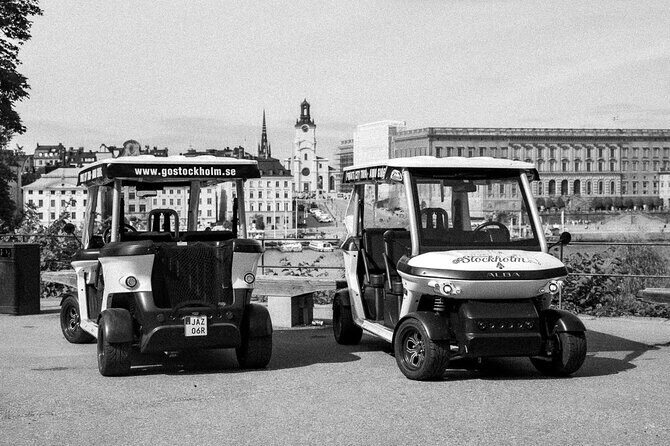 Stockholm Highlights: Private Golf Cart Tour - Södermalm: viewpoints, colorful streets, and street-level Stockholm