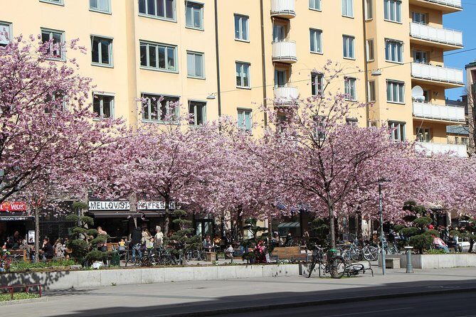 Stockholm Private Tour with a Local: Hip & Bohemian Sodermalm 3hr - Stop 1: Nytorget Square and Södermalm’s “island” mood