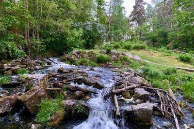 Stockholm: Sunset Hike in Tyresta National Park with Meal - Getting There from Gullmarsplan: The Simple Plan Behind a Wild Evening