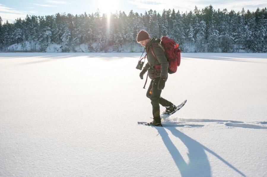 Stockholm: Winter Snowshoe Full-Day Hike - Safety and techniques: how you’ll learn to walk on winter terrain